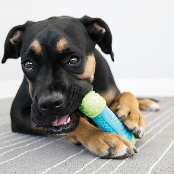 KONG CoreStrength Dog Toys, additional view 1
