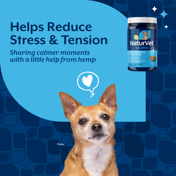 NaturVet Quiet Moments with Hemp Seed Calming Soft Chews, additional view 2
