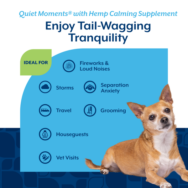 NaturVet Quiet Moments with Hemp Seed Calming Soft Chews, additional view 3