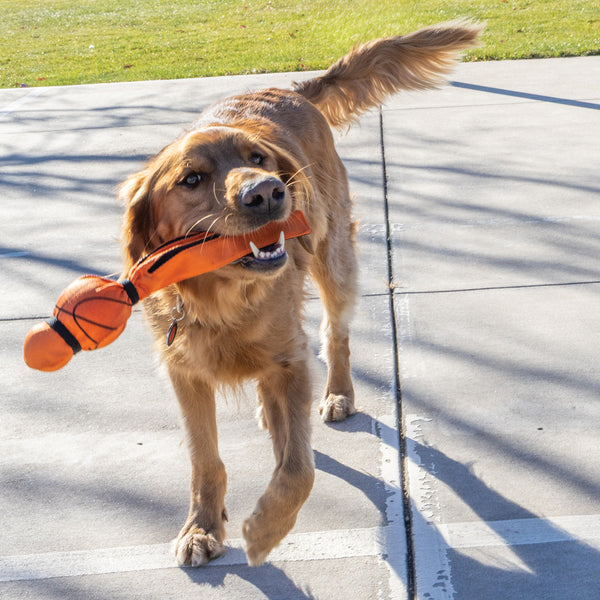 KONG Wubba Sport Dog Toy, additional view 2