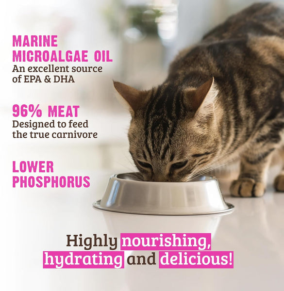 RAWZ Phosphorus Turkey Pate Recipe Wet Cat Food