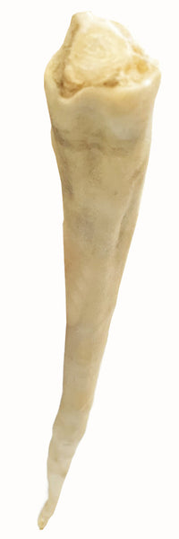Scoochie full length 18 to 24 inch natural cow tail dog chew