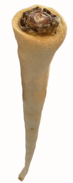 Scoochie full length 18 to 24 inch natural cow tail dog chew