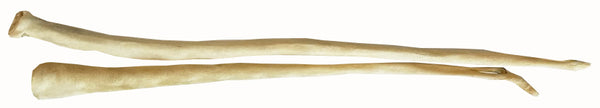 Scoochie full length 18 to 24 inch natural cow tail dog chew