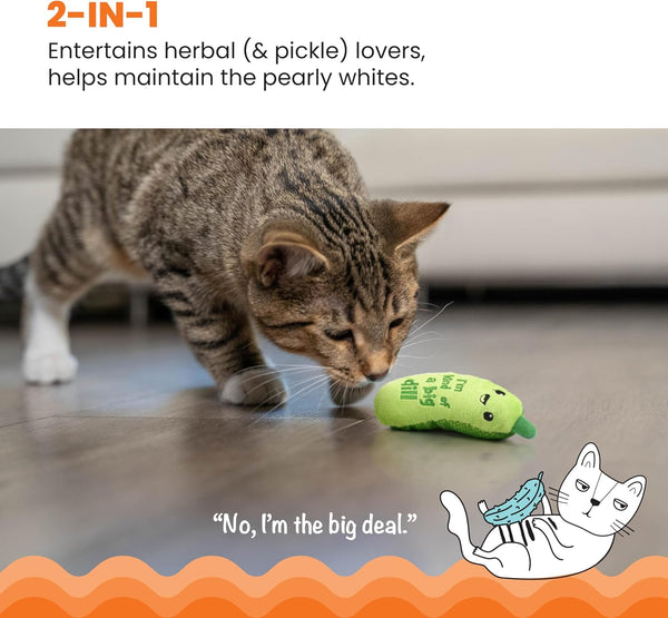 PetStages Crunchy Pickle Kicker Catnip Cat Toy