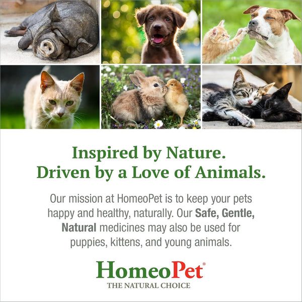 HomeoPet Feline Furball Hairball Relief