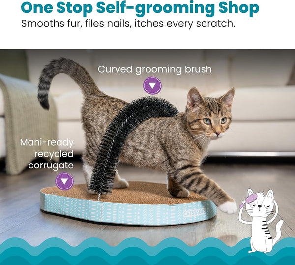 PetStages Scratch & Groom Cat Toy