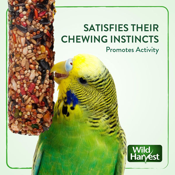Wild Harvest Treat Stick for Small & Medium Caged Birds