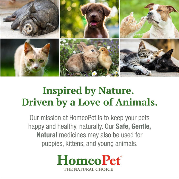 HomeoPet Feline Nose Relief