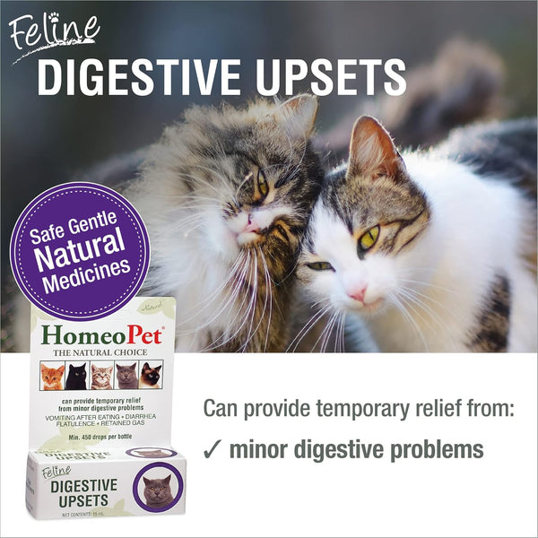 HomeoPet Feline Digestive Upsets