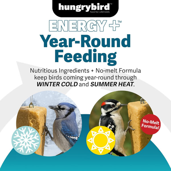 HungryBird Energy+ High-Protein Suet Bar with Peanut Butter Filling for Outside Wild Birds