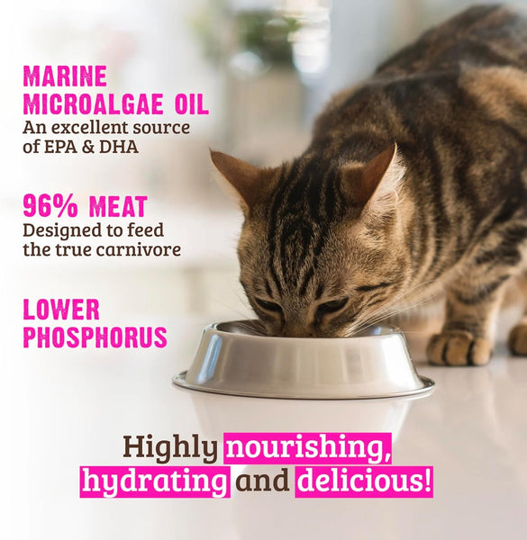 RAWZ Phosphorus Tuna & Salmon Pate Recipe Wet Cat Food