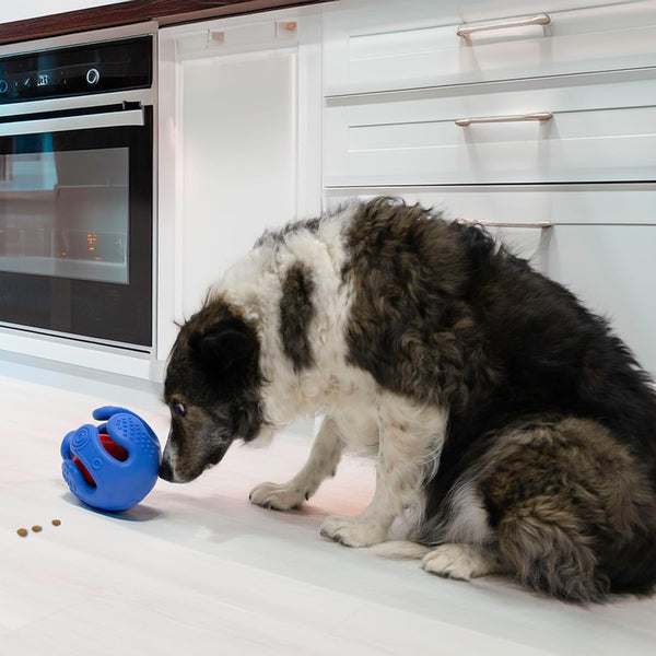 KONG Rewards Wrapz Treat Dispenser Ball Dog Toy