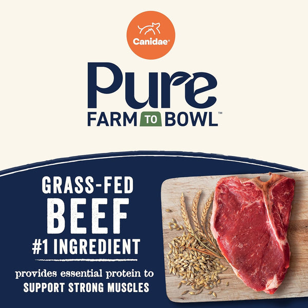 Canidae PURE with Wholesome Grains, Limited Ingredient Dry Dog Food, Beef and Barley