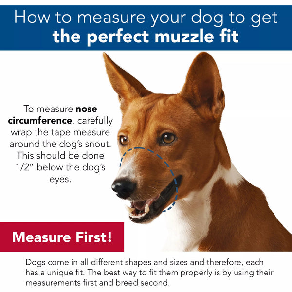 Coastal Best Fit Adjustable Comfort Dog Muzzle, additional view 1