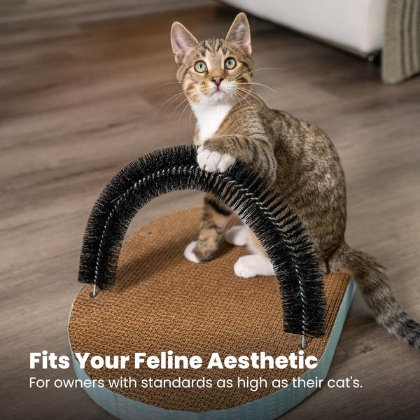 PetStages Scratch & Groom Cat Toy