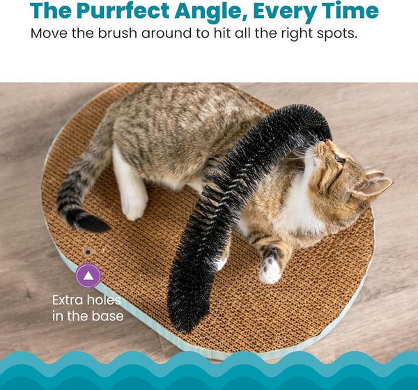 PetStages Scratch & Groom Cat Toy