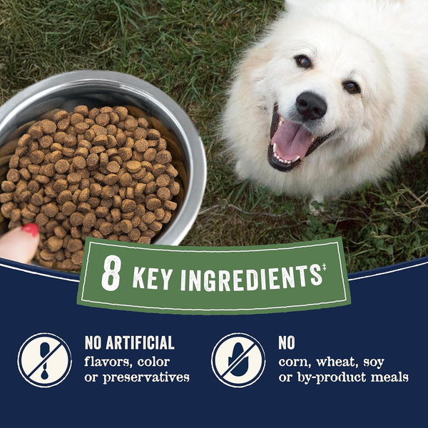 Canidae PURE with Wholesome Grains, Limited Ingredient Dry Dog Food, Beef and Barley