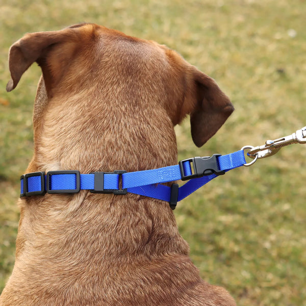 Coastal Natural Control Training Collar Additional Links, 3 Pack, additional view 3