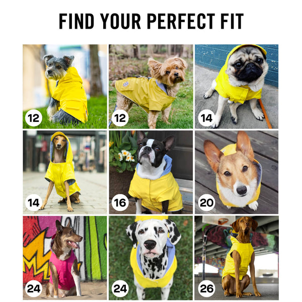 Canada Pooch Torrential Tracker Dog Raincoat, Yellow, additional view 1
