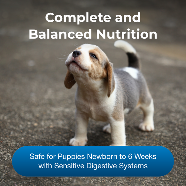 PetAg Goat's Milk Esbilac Puppy Milk Replacer Powder, additional view 2