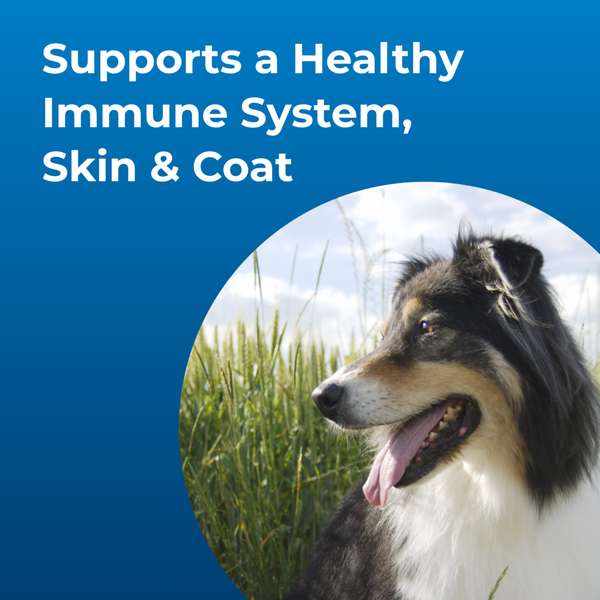 Dyne High Calorie Liquid Supplement for Dogs, additional view 3