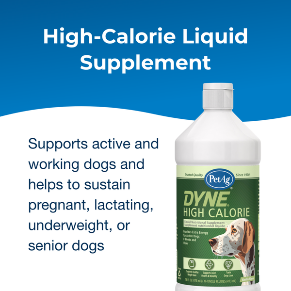Dyne High Calorie Liquid Supplement for Dogs, additional view 1