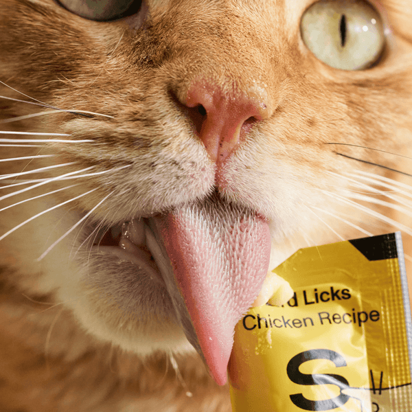 Smalls Licks Lickable Cat Treats, additional view 4