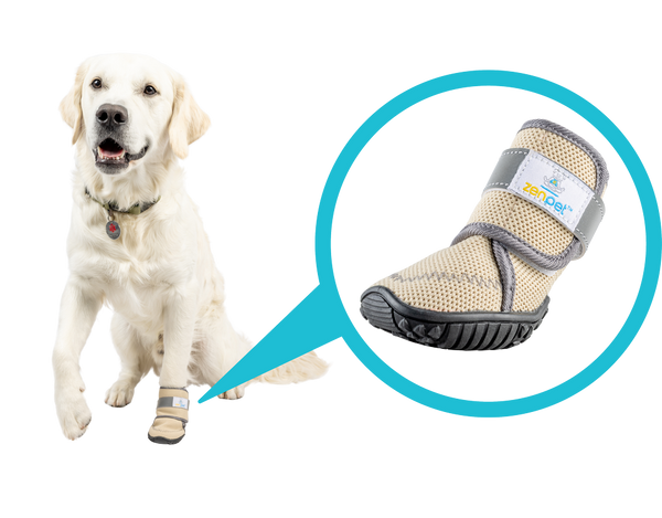 ZenPet Recovery Boots for dogs