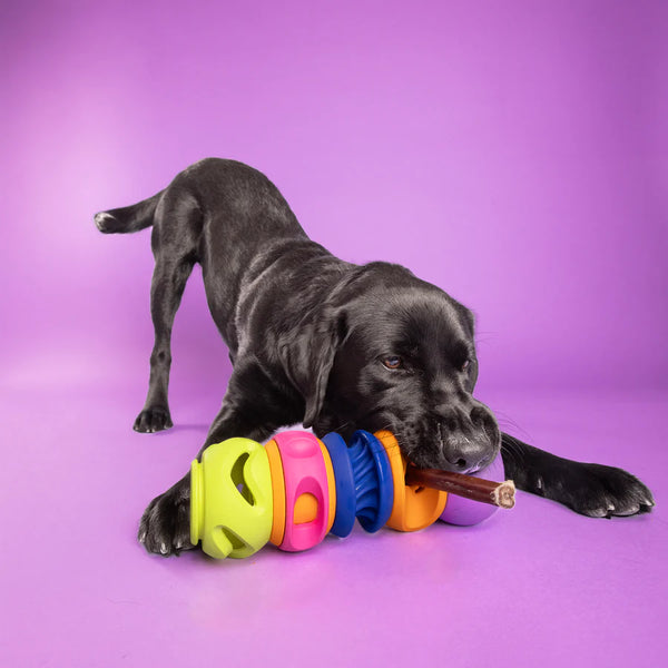 WAGLAB Stackable Treat Holders - Build Your Stack Small Dogs
