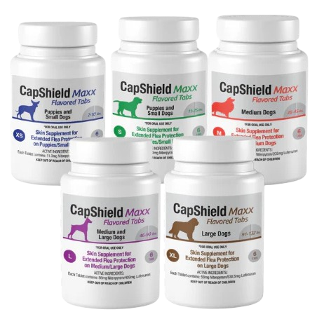 Capshield Maxx bottles for dogs of all sizes. 5 bottles in one frame