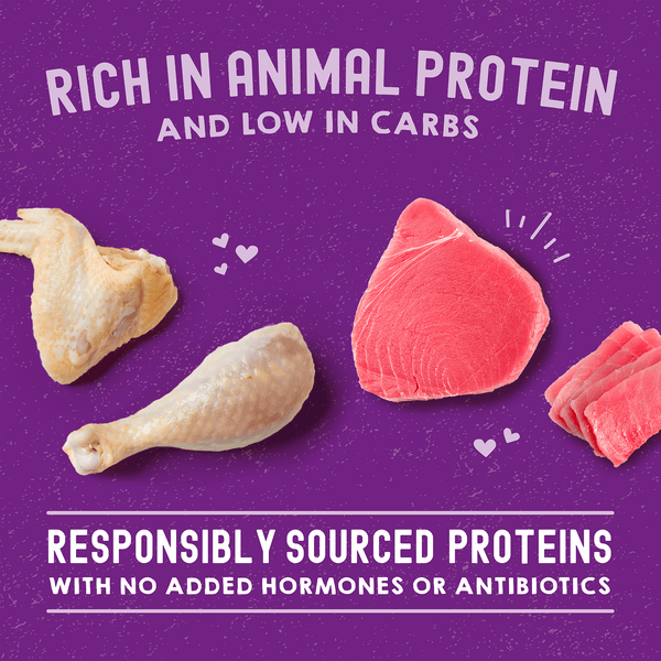 Stella & Chewy's Carnivore Cravings Wet Cat Food Pouches 2.8 oz, Case of 24, additional view 5