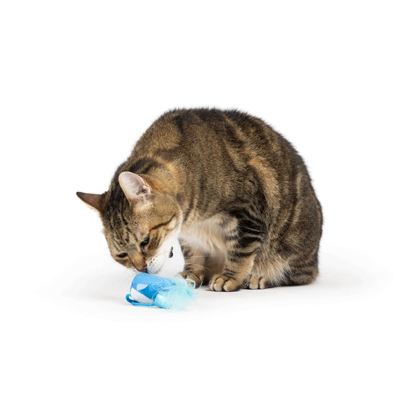 Huxley & Kent Bluebird Chirpy Cat Toy, additional view 1