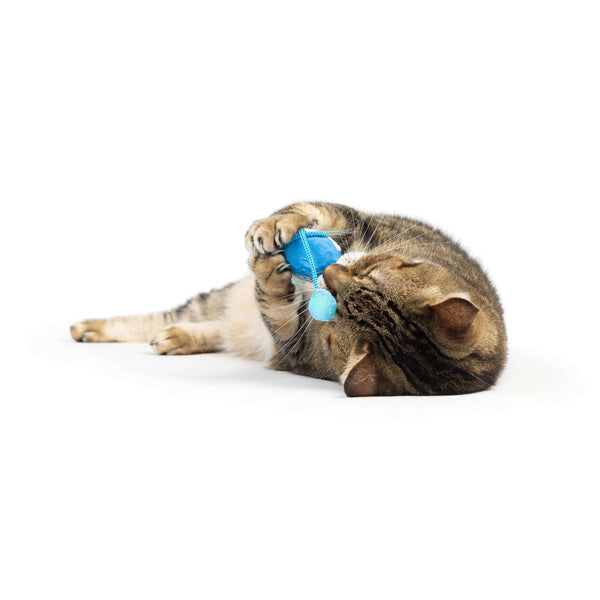 Huxley & Kent Bluebird Chirpy Cat Toy, additional view 2