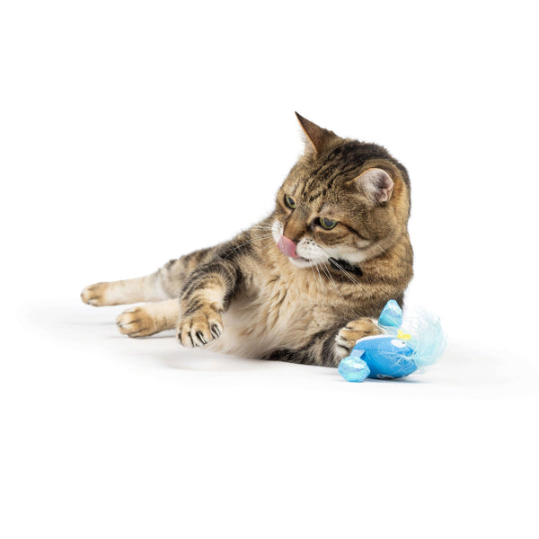 Huxley & Kent Bluebird Chirpy Cat Toy, additional view 3