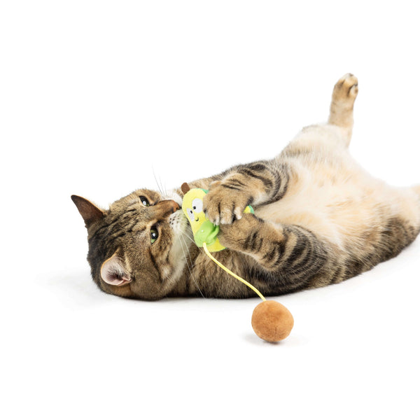 Huxley & Kent Avocado Popper Treat Cat Toy, additional view 2