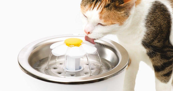 Catit Stainless Steel Flower Fountain, additional view 1