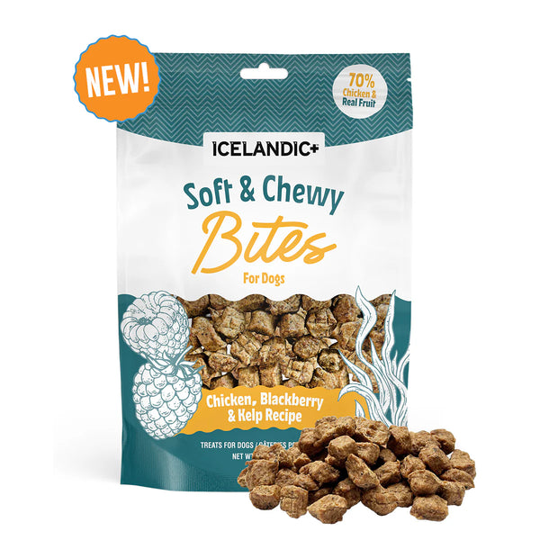 Icelandic+ Chicken, Blackberry & Kelp Recipe Soft & Chewy Bites Dog Treats