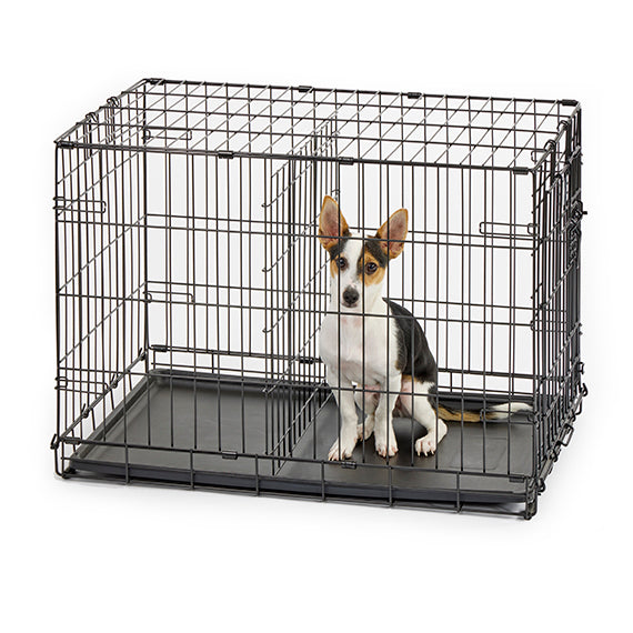 MidWest Contour Folding Wire Dog Crate, additional view 3