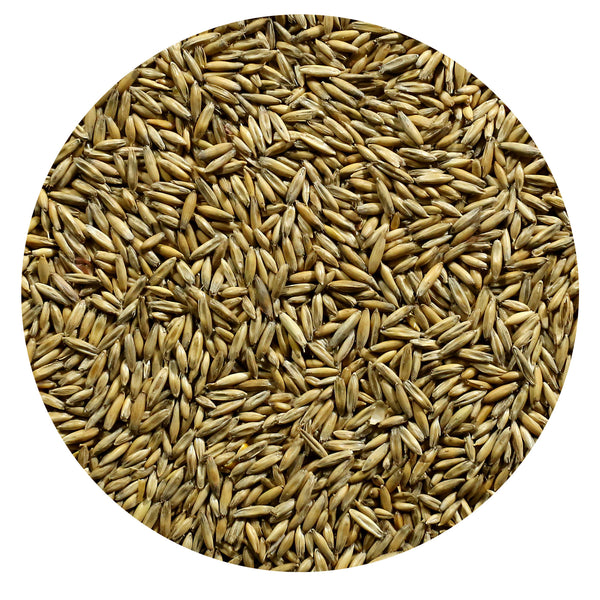 Crimped Oats Albright Mills