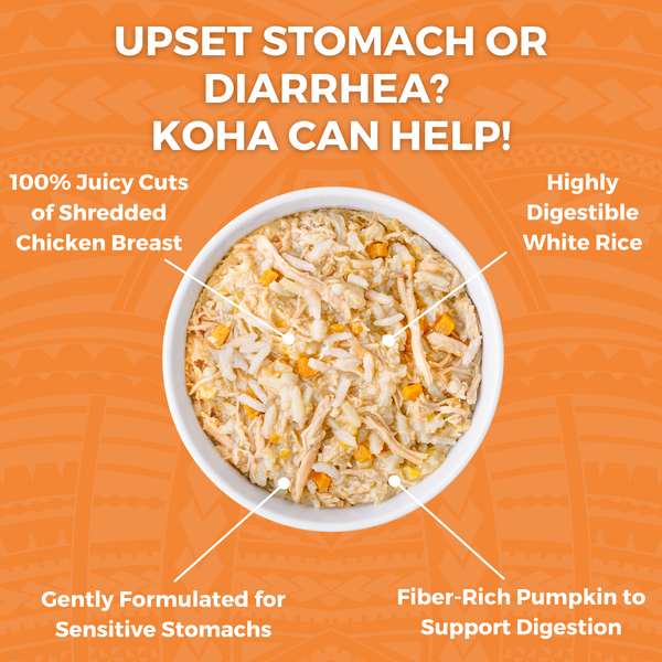 KOHA Limited Ingredient Bland Diet Chicken & Rice Wet Cat Food, additional view 1