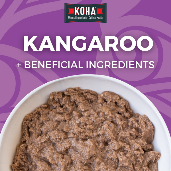 KOHA Limited Ingredient Diet Grain Free Wet Dog Food 13 oz, Case of 12, additional view 2