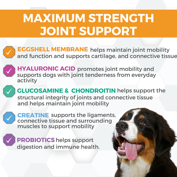 Nootie ProgilityMax Hip & Joint Soft Chews, X-Large, additional view 2