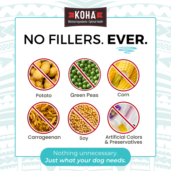 KOHA Limited Ingredient Diet Venison Entree Wet Dog Food Topper, additional view 3