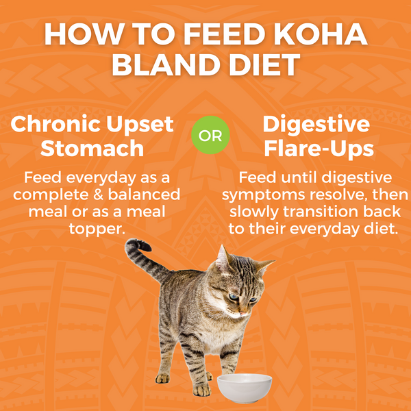 KOHA Limited Ingredient Bland Diet Chicken & Rice Wet Cat Food, additional view 3