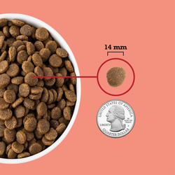 Acana Heritage Red Meat Dry Dog Food