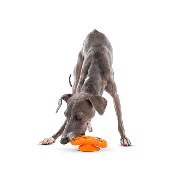 GURU Distracto-Pod Lick Toy, additional view 2