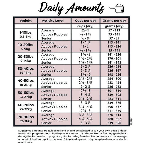 Grandma Lucy's 3 Bears Beef Freeze Dried Dog Food