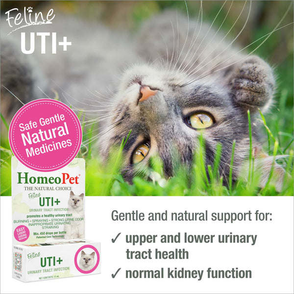 HomeoPet Feline UTI+, additional view 1