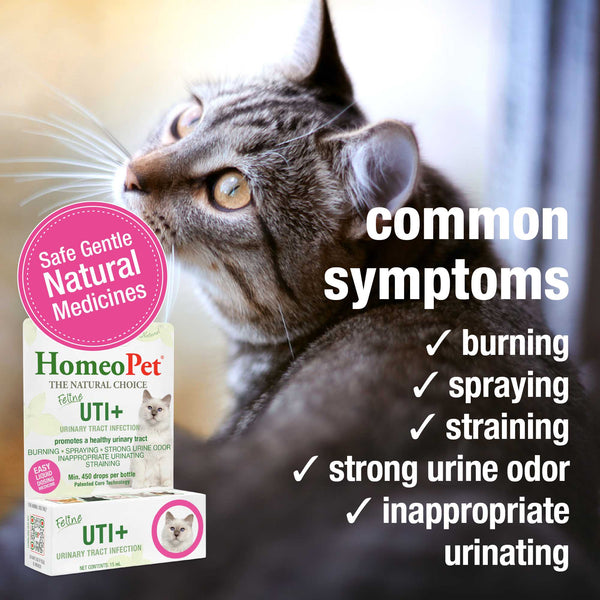 HomeoPet Feline UTI+, additional view 2